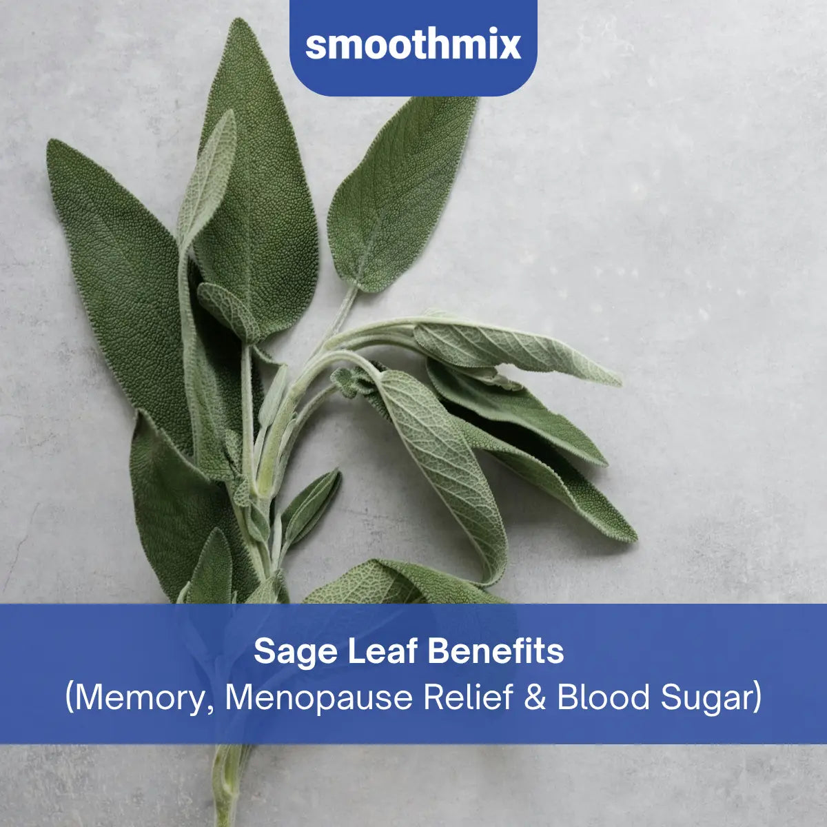 Sage Leaf Benefits: Uses, Nutrition, Antioxidants, Memory Support And Health Effects