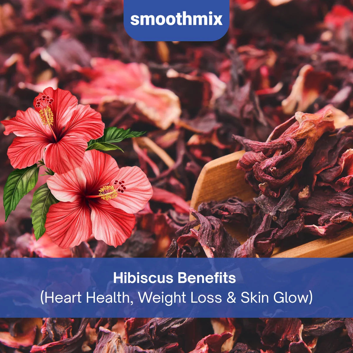 Hibiscus Benefits: Health Effects, Uses, Immunity Support, And Herbal Uses