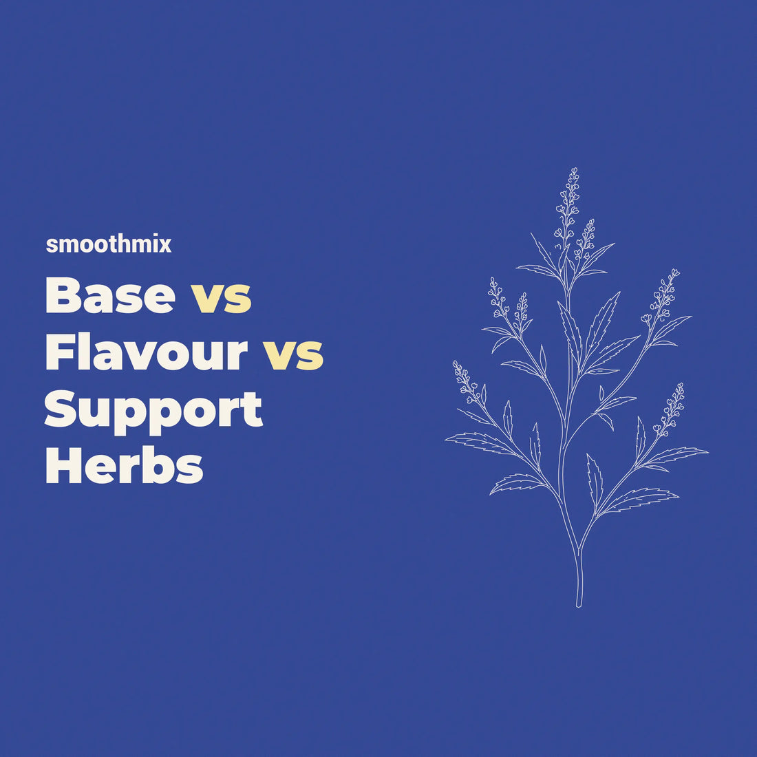 Base Herbs Vs Flavor Herbs Vs Support Herbs 