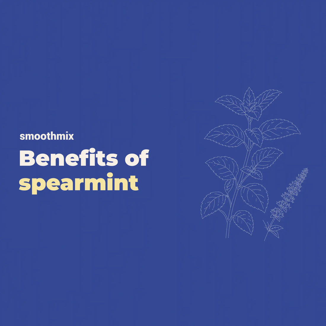 Spearmint Benefits