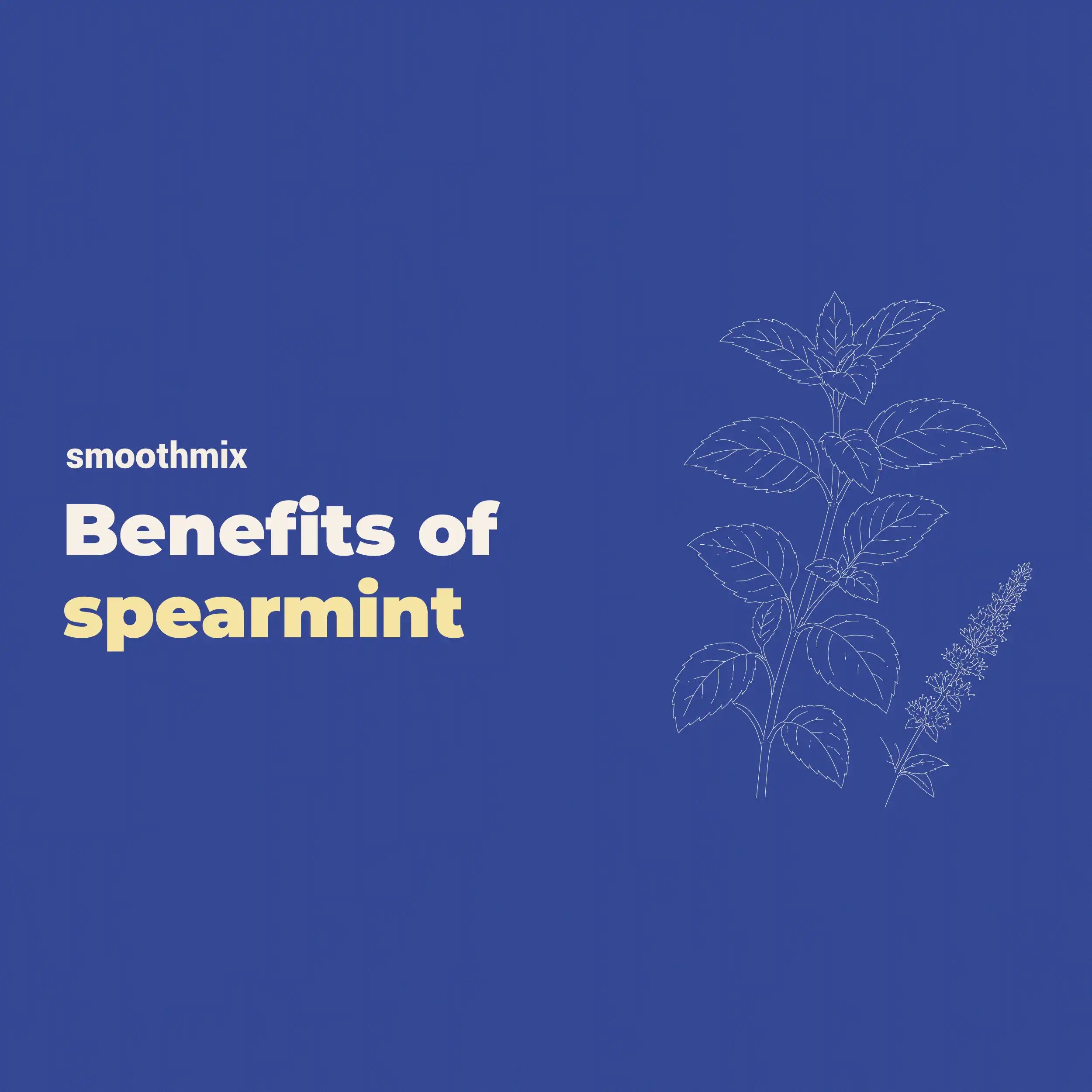 Spearmint Benefits