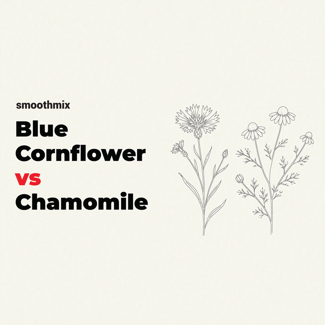 Blue Cornflower Vs Chamomile For Smoking