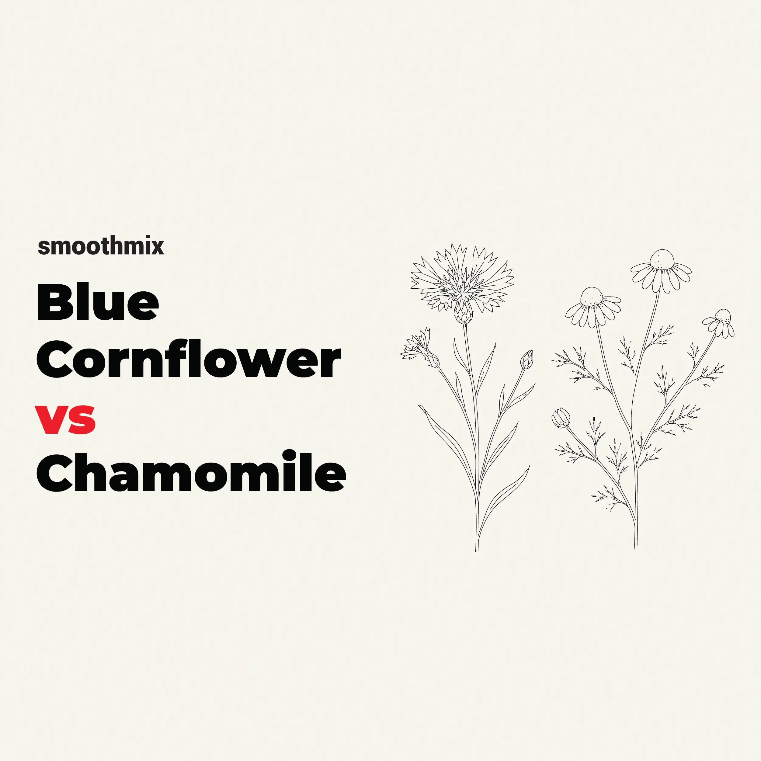Blue Cornflower Vs Chamomile For Smoking