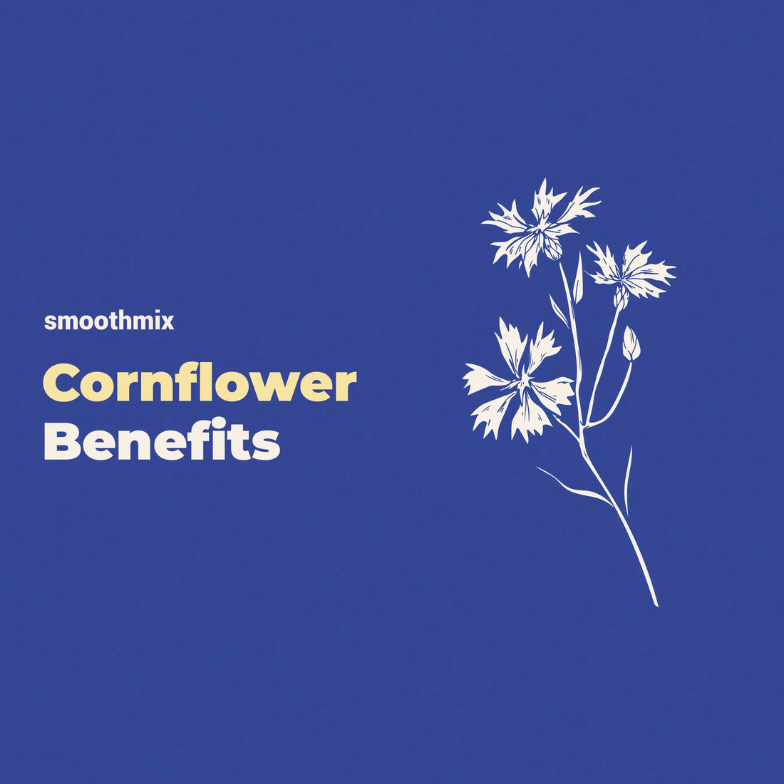 Cornflower Benefits