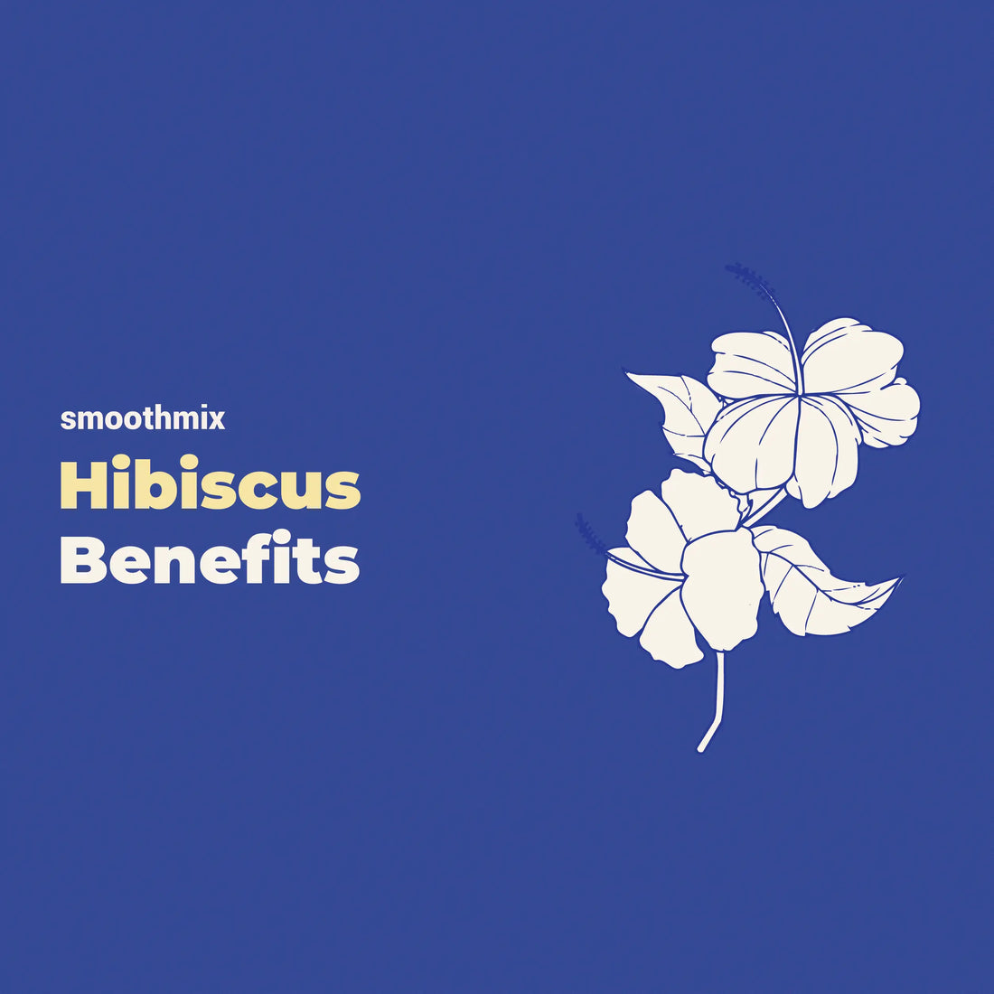 hibiscus benefits