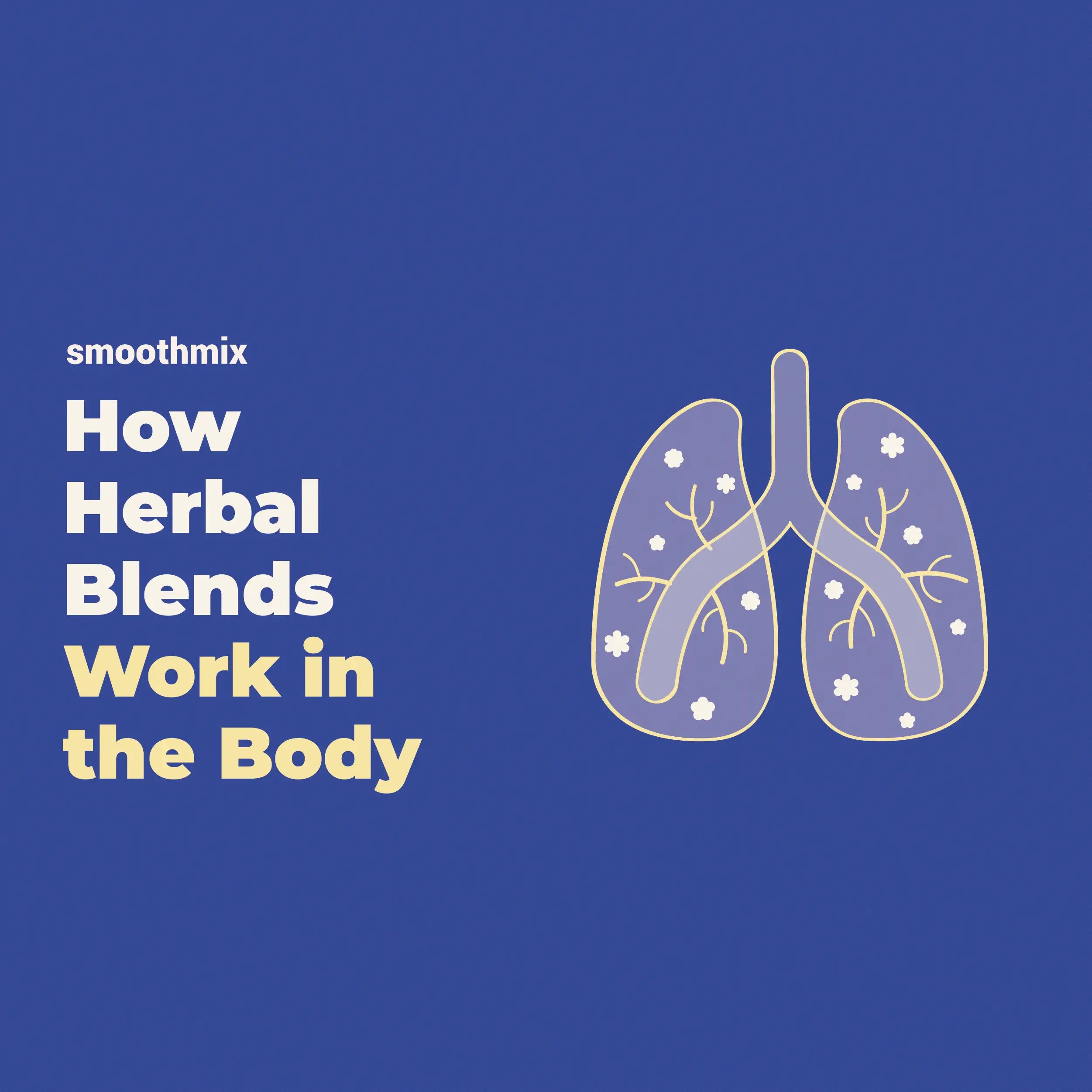How Herbal Blends Smoking Works In The Body
