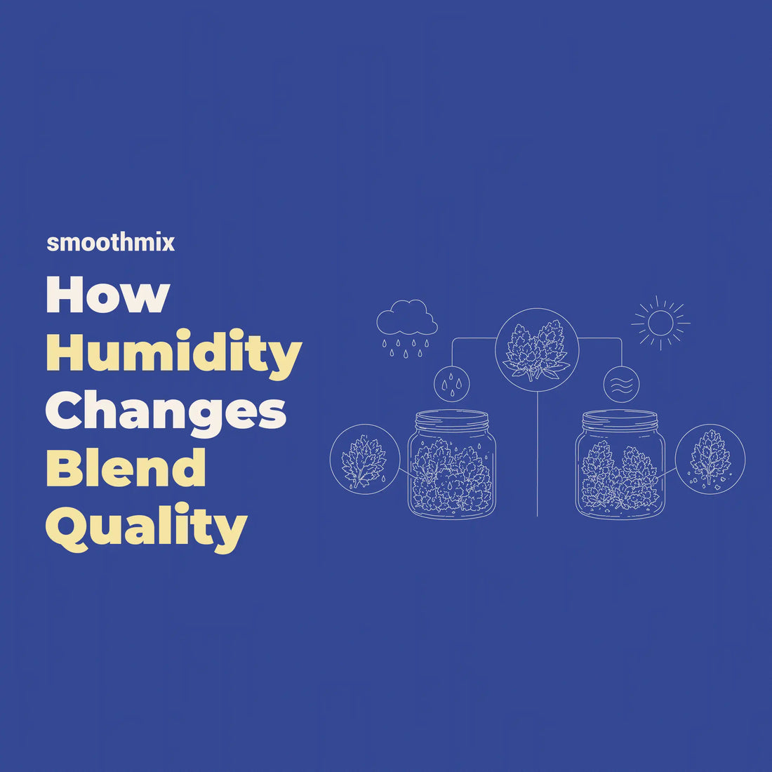 How Humidity Affects Herbal Blend Quality