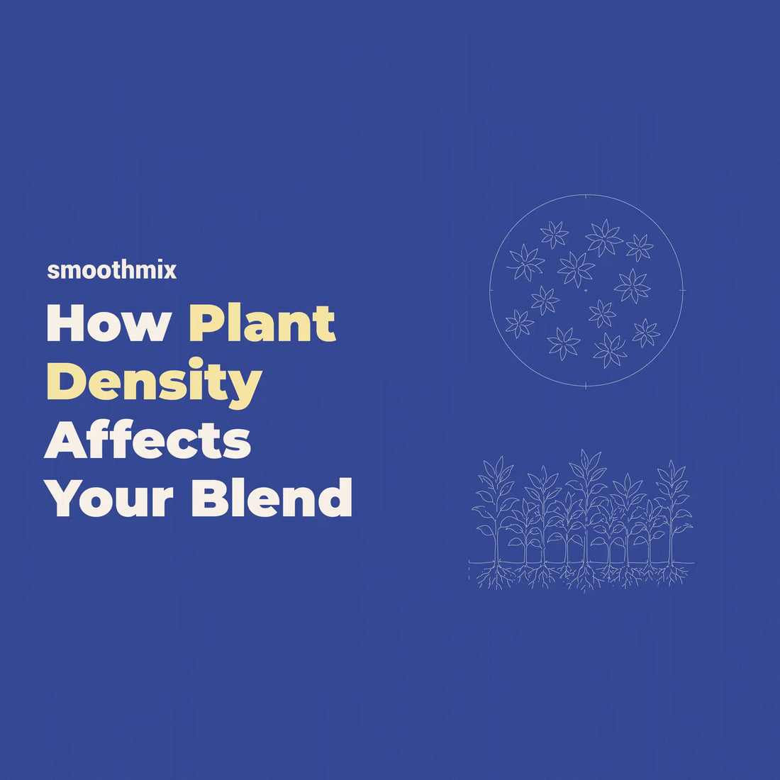 How Plant Density Affects Herbal Smoking Blends