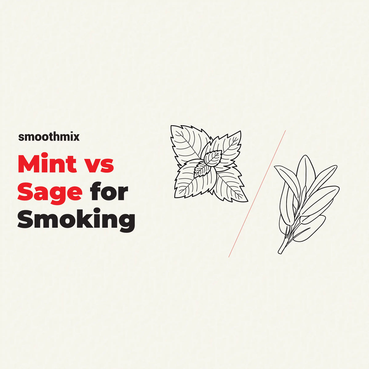 Mint vs Sage for Smoking