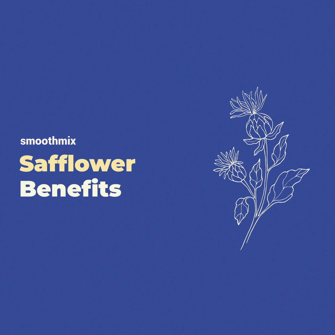 Safflower benefits