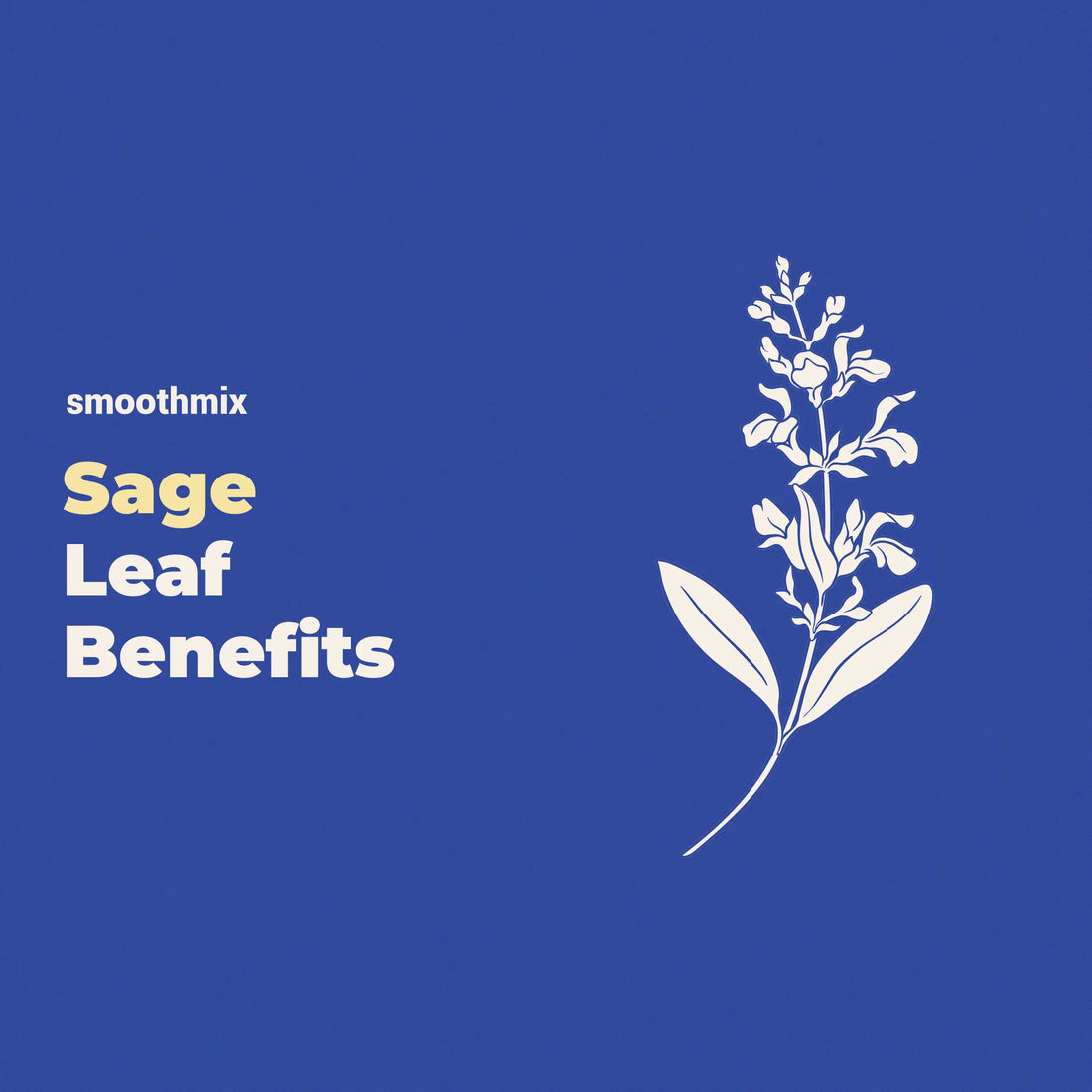 Sage Leaf Benefits