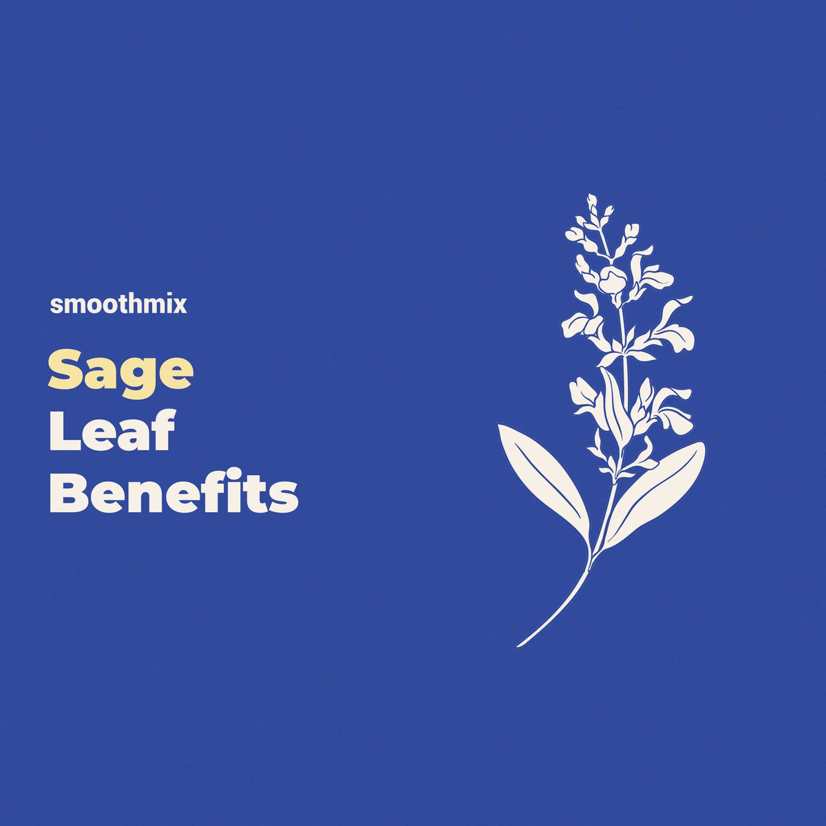 Sage Leaf Benefits