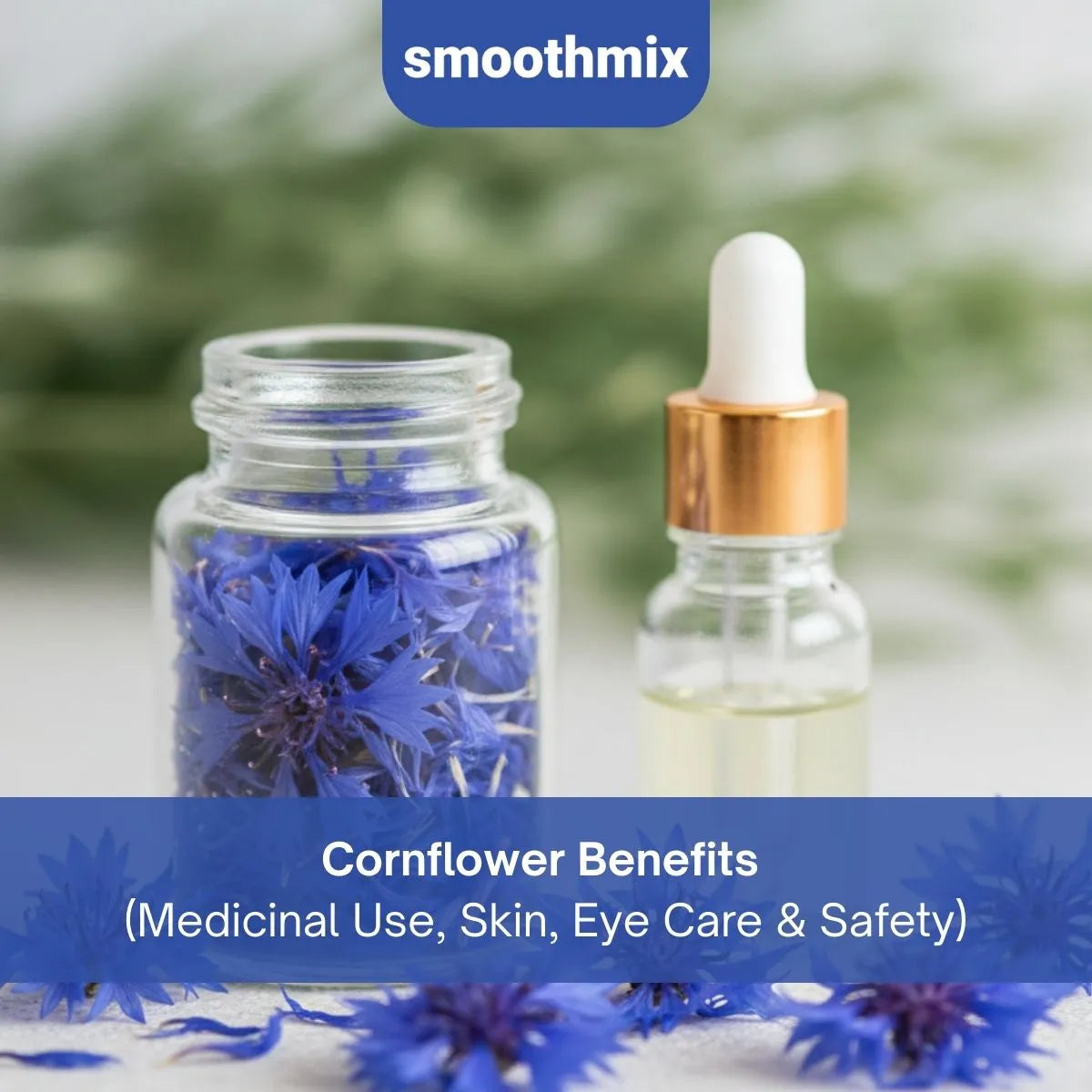 Cornflower Benefits: Health, Skin, Eye Care, Uses, Safety And More