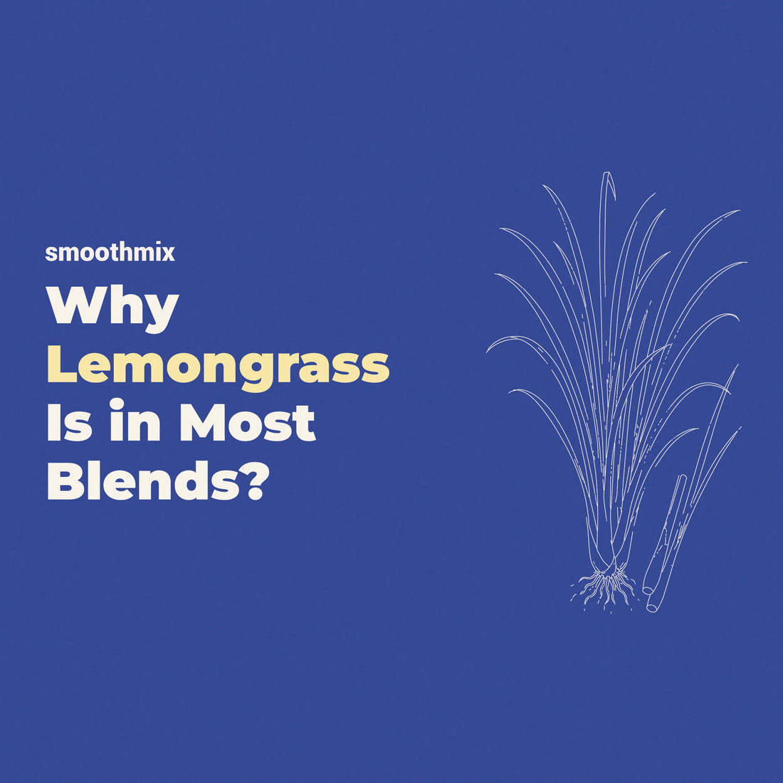 Why Is Lemongrass Used In Most Of The Herbal Blends?