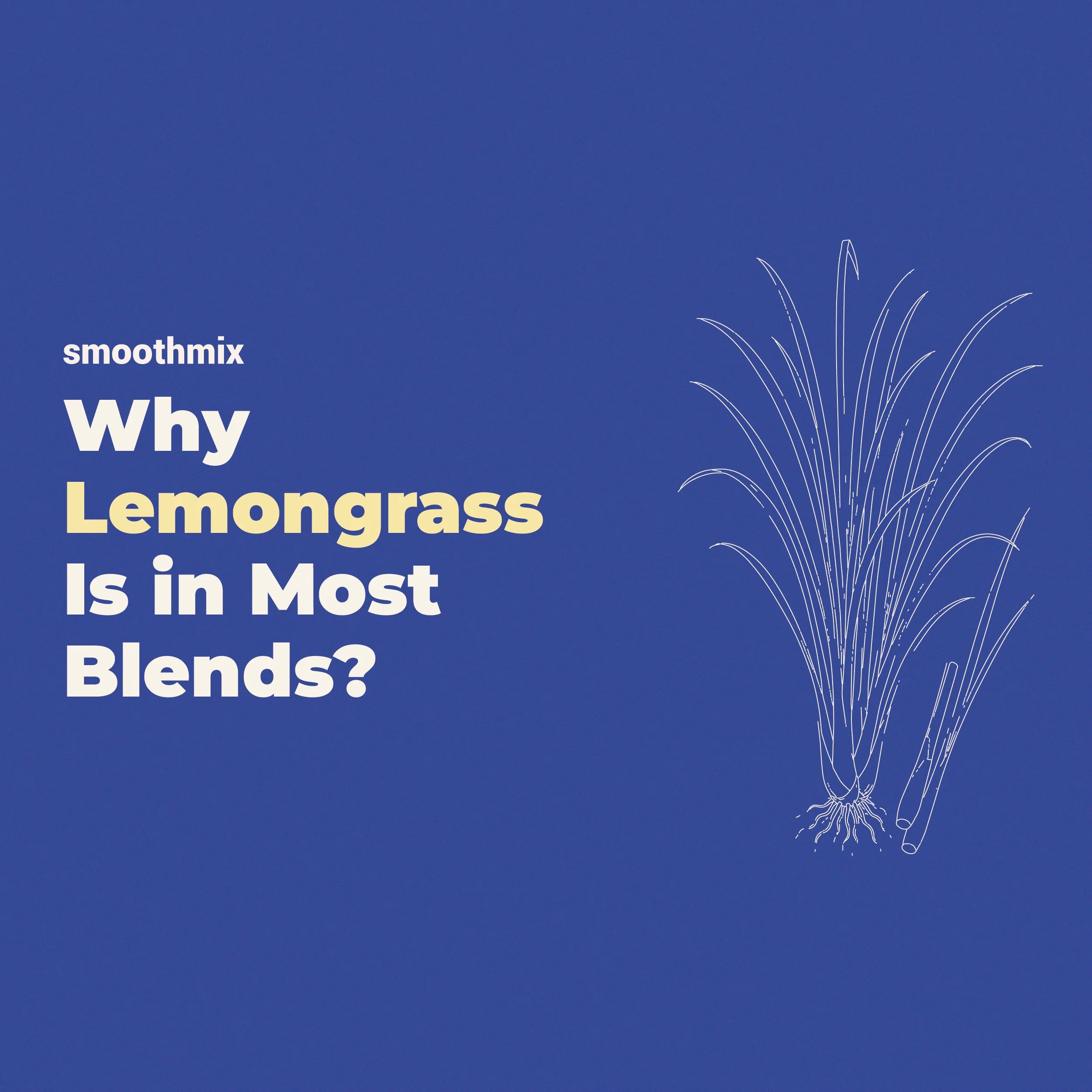 Why Is Lemongrass Used In Most Of The Herbal Blends?