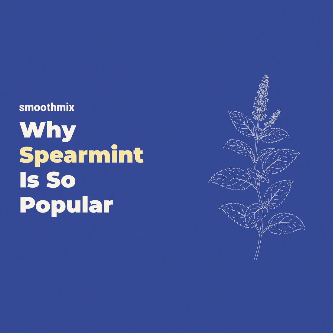Why Spearmint Is Popular In Herbal Blends