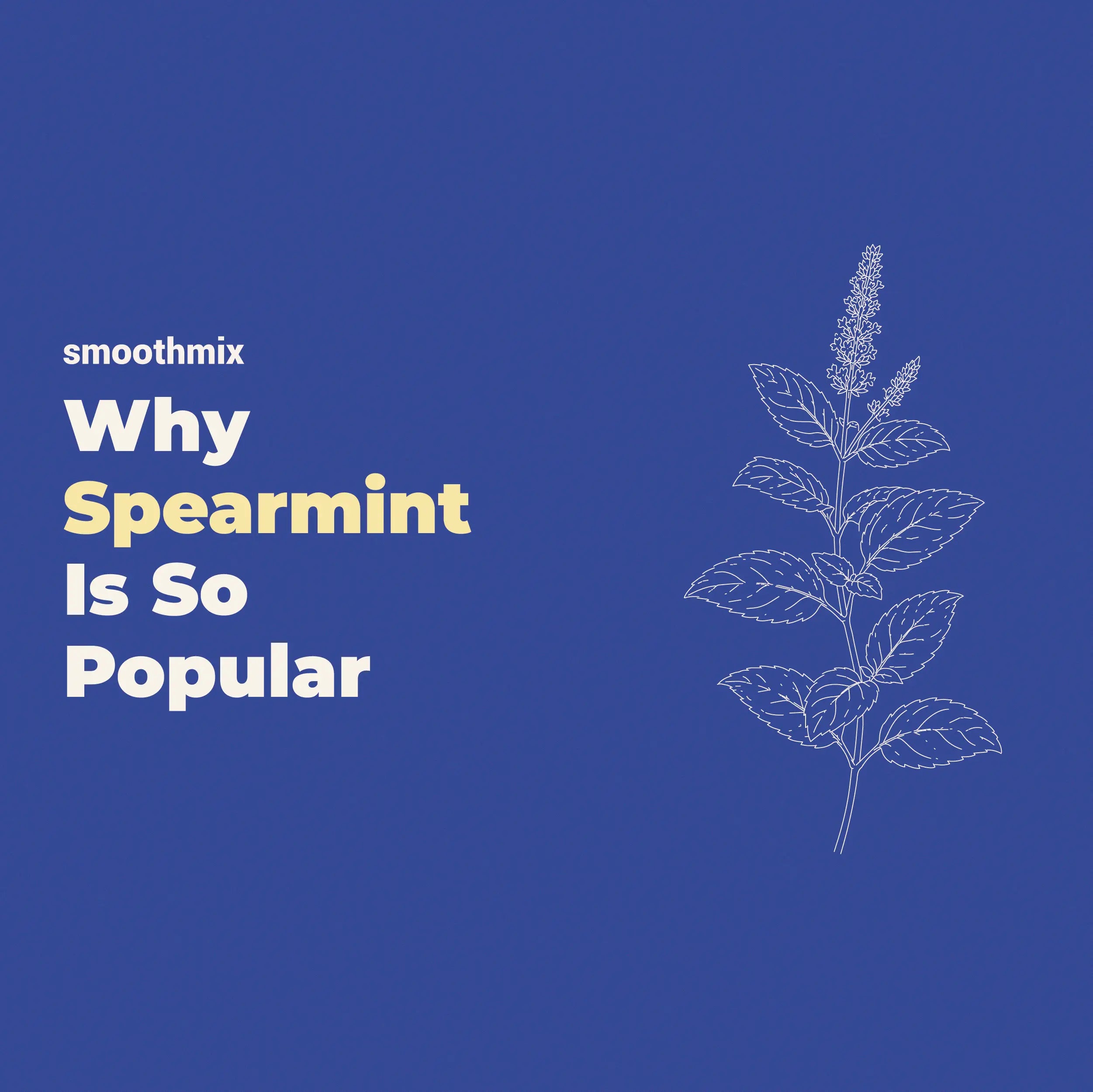 Why Spearmint Is Popular In Herbal Blends