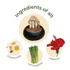 Multi Pack Combo | Smoothmix Herbal blends | All Flavours